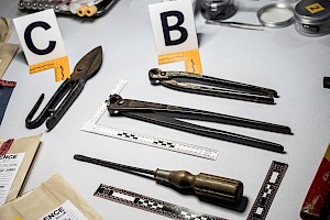 ¿Por qué estudiar criminología?