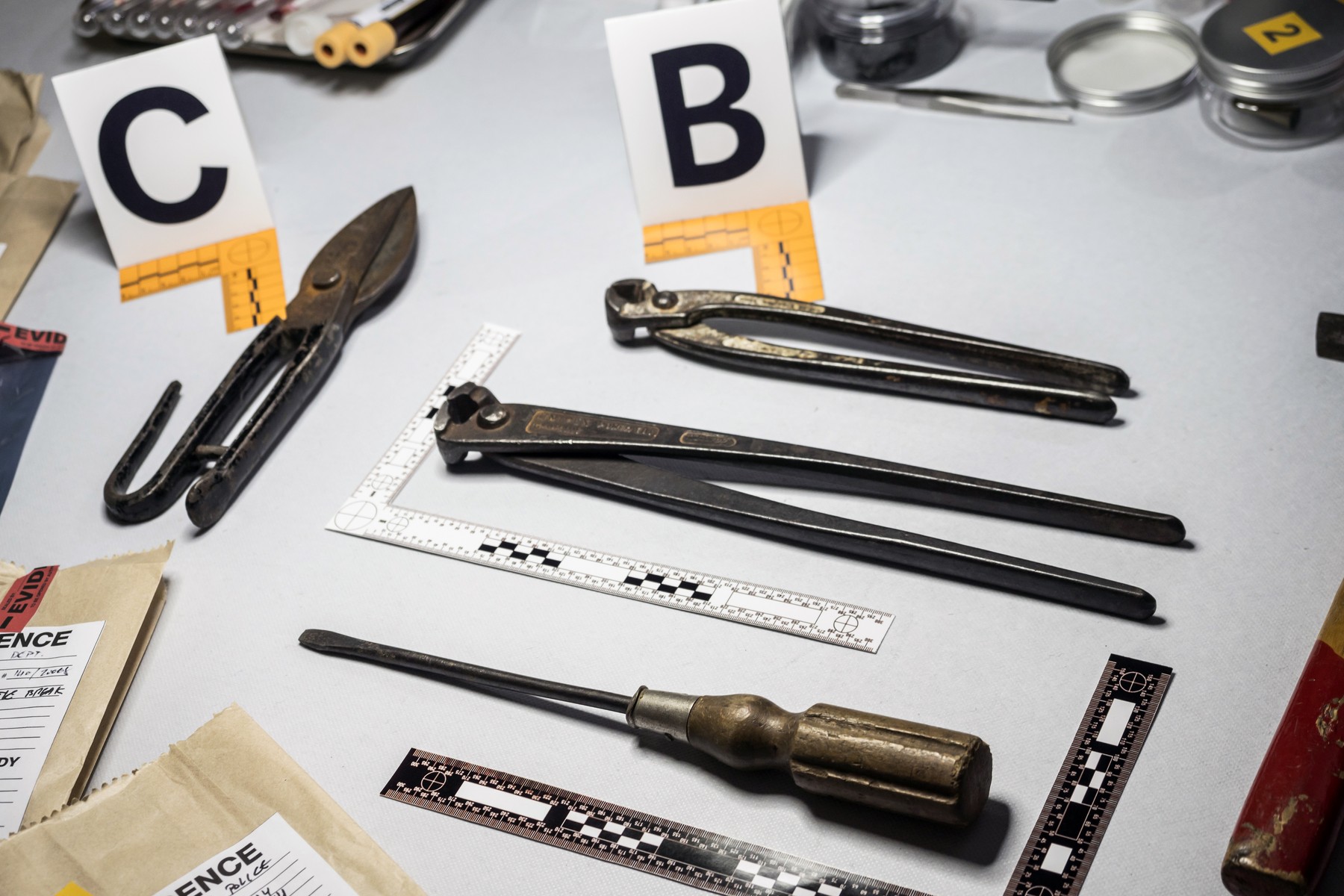 ¿Por qué estudiar criminología?