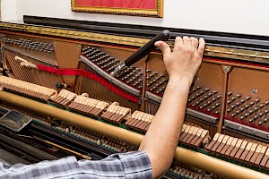 Afinador / Afinadora de Pianos