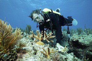 Biólogo / Bióloga Marino