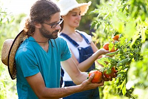 Horticultor / Horticultora