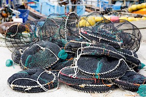 Oficial de Pesca