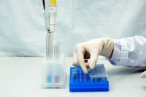 Técnico / Técnica Químico