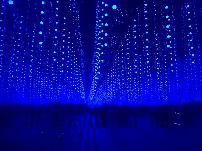 Alternativas en arte y tecnología