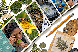 Qué estudiar si me gusta la naturaleza