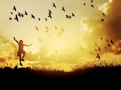 ¿Por qué estudiar derecho?