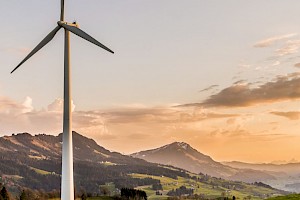 Desarrollador de Alternativas Sustentables