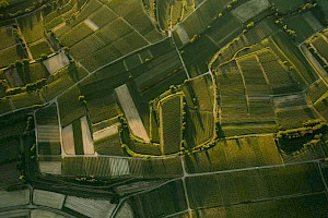 ¿Por qué estudiar Ingeniería en Agronomía?