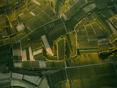 ¿Por qué estudiar Ingeniería en Agronomía?