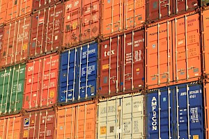 Despachante de Aduanas