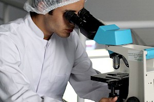 Ingeniería Química