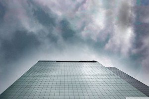 Administrador / Administradora