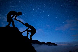 Consejero / Consejera